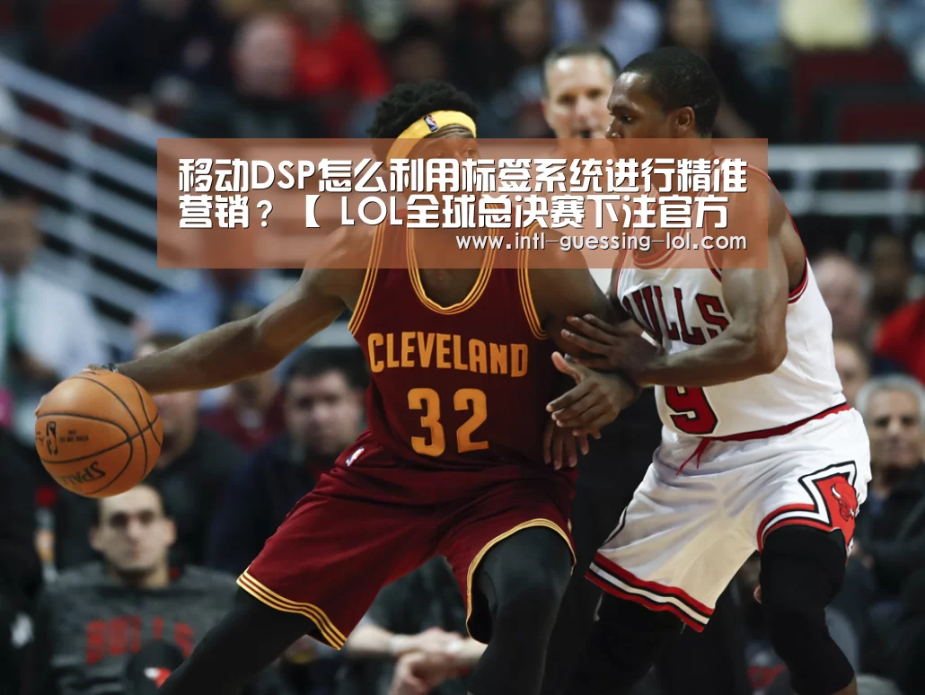 移动DSP怎么利用标签系统进行精准营销？