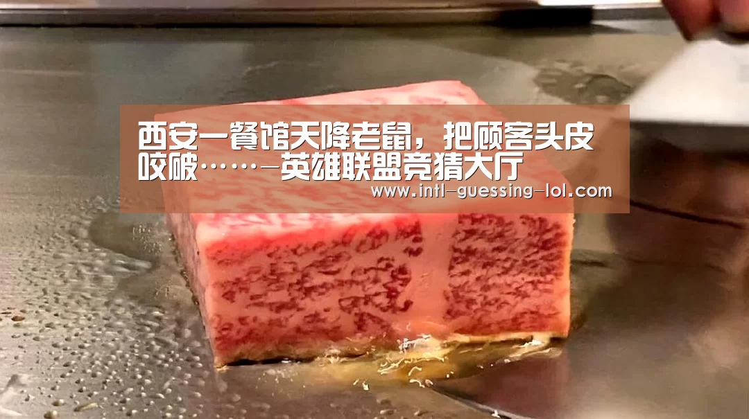 英雄联盟竞猜大厅 
