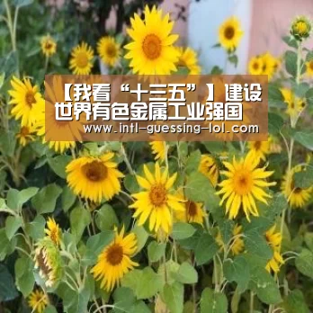 【我看“十三五”】建设世界有色金属工业强国的条件已具备‘ L