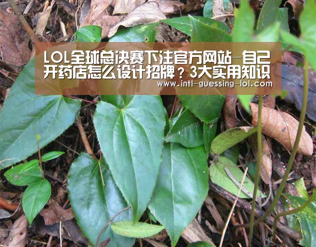  LOL全球总决赛下注官方网站